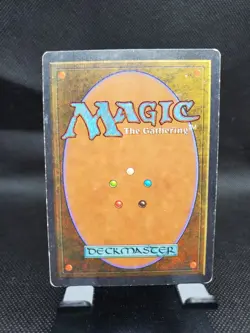 Citanul Druid MTG Antiquities Green Uncommon Creature Moderately Played - Image 2