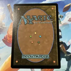 Hermitic Herbalist - Avatar - NM - Uncommon - Creature - MTG Regular NP - Image 2