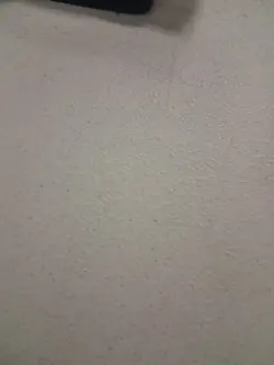 Pokemon Golduck 50a/147 Aquapolis Regular Uncommon 2003 NM Fast Ship - Image 5