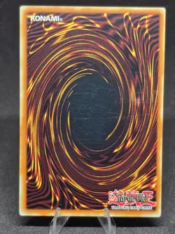 Yu-Gi-Oh! Magic Jammer SDRL-EN035 Rise of the Dragon Lords 1st Edition NM - Image 2