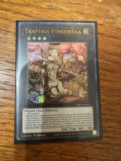 Traptrix Pinguicula - SDBT-EN042 - NM - 1st Ed - Ultra Rare - Yugioh - Image 1