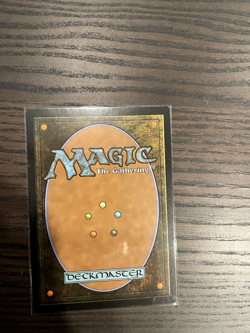 Misty Rainforest (MM 2017) NM - Image 2