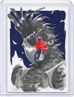 Francisco, Fowl Marauder Signed Sketch Regular Artist Proof MTG RARE - Image 2