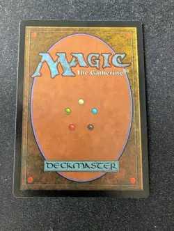 1x Plains MTG Magic the Gathering Apac Spears sunflowers Signed LP - Image 2