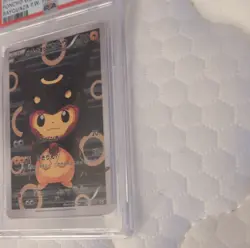 Pokemon 2016 XY-P Promo Poncho-Wear Pikachu Rayquaza 231/XY-P PSA 10 Japanese - Image 5