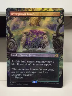 Overgrown Tomb (Borderless) Lorwyn Eclipsed Foil #350 - Image 1