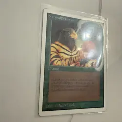 WOTC MtG Unlimited Natural Selection (R) Rare See Pics - Image 5