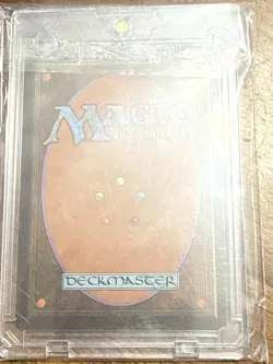 1996 Magic the Gathering Alliances Force of Will RARE in This Condition-Mint/NM - Image 2