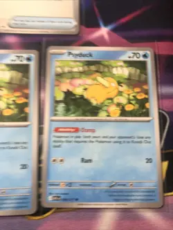 Pokemon Ascended Heroes Lot Of 2 POKEPAD + 3 PSYDUCKS Lot Of 5 Total New Set - Image 4