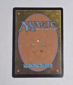 Get Lost - Lost Caverns of Ixalan (Magic The Gathering Card) LP - Image 2