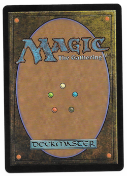 MTG Badgermole Cub M 0167 TLA EN 2025 Magic The Gathering Rare 2/2 Earthbend - Image 2