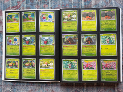 Pokemon TCG Destined Rivals Master Base Set – Complete In Binder - #001-#182 +EX - Image 2