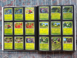 Pokemon TCG Destined Rivals Master Base Set – Complete In Binder - #001-#182 +EX - Image 3