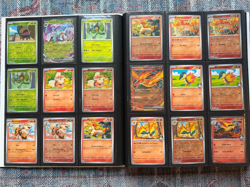 Pokemon TCG Destined Rivals Master Base Set – Complete In Binder - #001-#182 +EX - Image 4