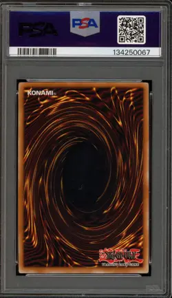 Yu-Gi-Oh! Black Luster Soldier Starter Deck Yugi Evolution 1st Ed SYE-024 PSA 9 - Image 2