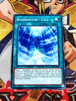 Raidraptor - Call op24-en024 Unltd Ed (NM+) Common Yu-Gi-Oh! - Image 1