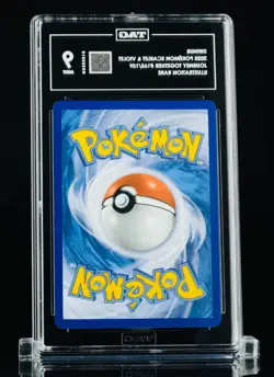 2025 Pokemon JTG EN-Journey Together Swinub #165 Illustration Rare TAG 9 - Image 2