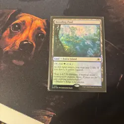 Mtg FOIL Breeding Pool - Edge of Eternities + Bonus Foils - Image 1
