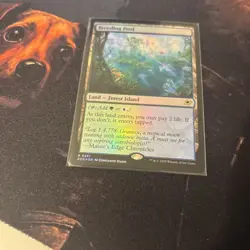 Mtg FOIL Breeding Pool - Edge of Eternities + Bonus Foils - Image 2