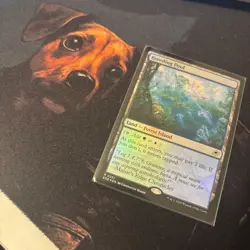 Mtg FOIL Breeding Pool - Edge of Eternities + Bonus Foils - Image 3