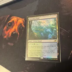 Mtg FOIL Breeding Pool - Edge of Eternities + Bonus Foils - Image 5