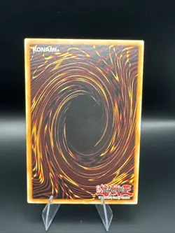 Dark Magician of Chaos DPRP-EN013 - Rivals of the Pharaoh - 1st Edition - Image 2