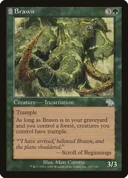 2x Brawn Judgment LP MTG - Image 1