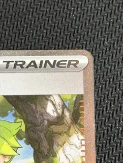 Wally's Compassion 🧑🏻‍🎤 186/132 SIR Pokemon Mega Evolution NM * - Image 3