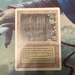 Bayou Revised Edition Rare Land Regular English Magic: The Gathering Card Stock - Image 1