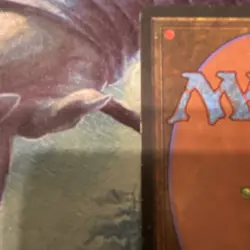 Bayou Revised Edition Rare Land Regular English Magic: The Gathering Card Stock - Image 3