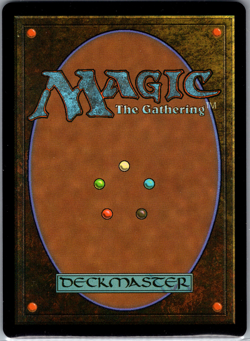 Choco, Seeker of Paradise (Borderless) (Chocobo Track Foil) Final Fantasy MTG NM - Image 2