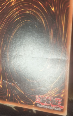 Yugioh: Book Of Life - PGD-033 - Super Rare - 1st Edition - HP - Image 5