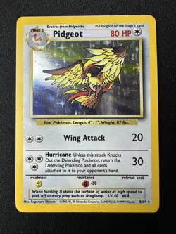 1999 Pokemon Pidgeot Jungle 8/64 Holo Rare No Set Symbol Error - Image 1