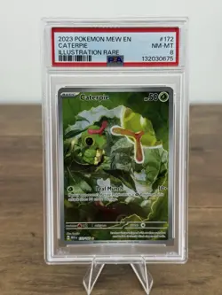 2023 Pokemon Scarlet & Violet Caterpie Illustration Rare 172/165 PSA NM-MT 8 - Image 1