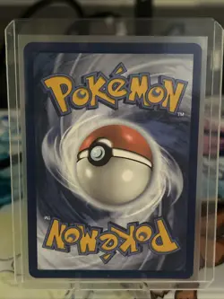 Pokemon TCG Destined Rivals Arven's Greedent Illustration Rare Card 205/182 - Image 2