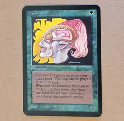 MTG - Magic the Gathering - Alpha Llanowar Elves - NM - Image 1