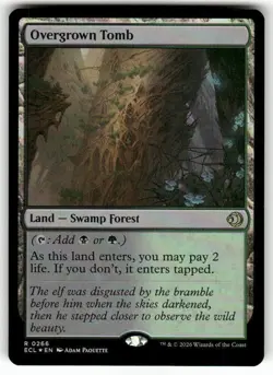 Overgrown Tomb 266 NM Foil MTG Lorwyn Eclipsed Magic - Image 1