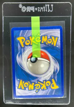 2006 Pokemon Black Star Promos Kyogre EX Holo #037 - Image 2