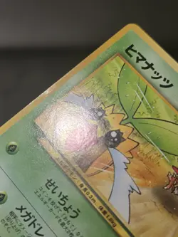 Pokemon Japanese Natta Wake Vol. 4 Sunkern Promo - LP - Image 5