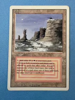 MTG Revised Editioon, Plateau! 1994 Vintage Magic! - Image 1