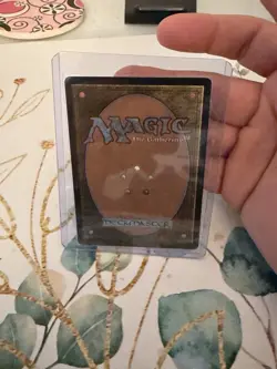 Hexing Squelcher 317 Showcase Foil MTG Lorwyn Eclipsed Borderless Rare Near Mint - Image 2