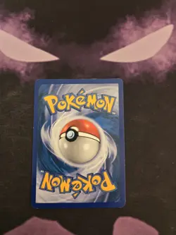 Raikou LV.42 16/132- Secret Wonders Cracked Ice Rare Holo Pokemon Card - Image 2