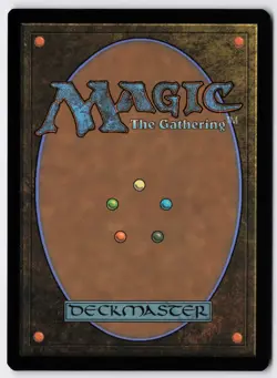 Questing Druid - Foil - Borderless - MTG Secret Lair Showdown - RareCo - Image 2