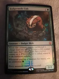 Badgermole Cub - MAGIC THE GATHERING - #167 - (FOIL) - Near Mint - Image 2