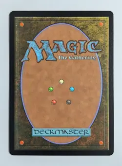 Lulu, Stern Guardian BORDERLESS Chocobo Track ◆FOIL◆ 467 NM Near Mint Magic MTG - Image 2