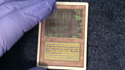 BAYOU and WEAKNESS UNLIMITED Magic the Gathering - Image 2