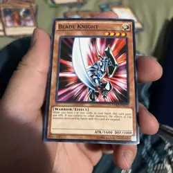 Yu-Gi-Oh! - Blade Knight (LDK2-ENK13) - Legendary Decks II - Common - NM - Image 1