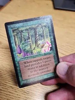 Magic the Gathering MTG Beta Wild Growth LP - Image 5
