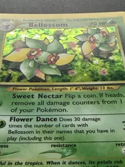 Bellossom 14/111 Holo Rare - Neo Genisis - First Edition - Pokemon WOTC - Image 4