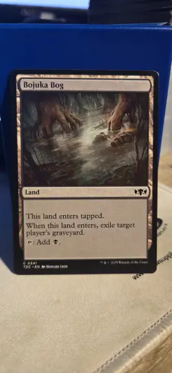 Bojuka Bog Commander: Tarkir: Dragonstorm Regular - Image 1